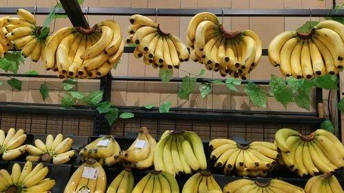 大香蕉之国产,大香蕉之国的繁荣与传奇